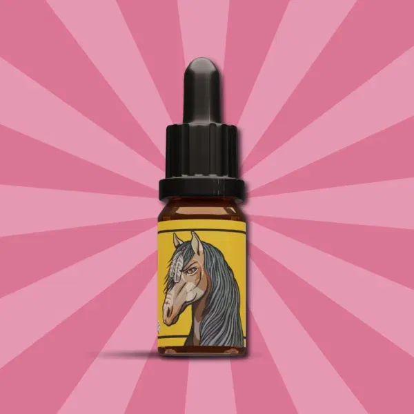 CBD-Öl für Pferde 12% - 10ml – Bild 4