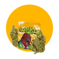 Oleo CBD por grosso 1 categorias Cannabidiol