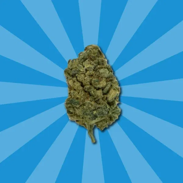 FORBIDDEN FRUIT CBD – Bild 4