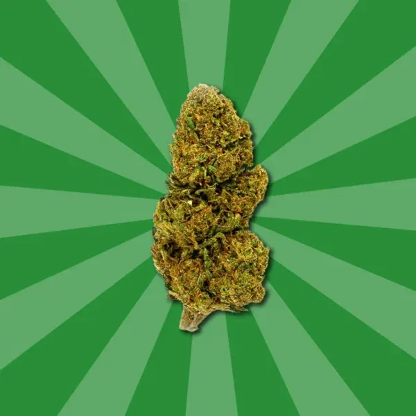 LEMON HAZE CBD - Image 4