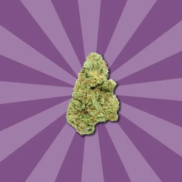 LEEROY JENKINS CBD - Image 4