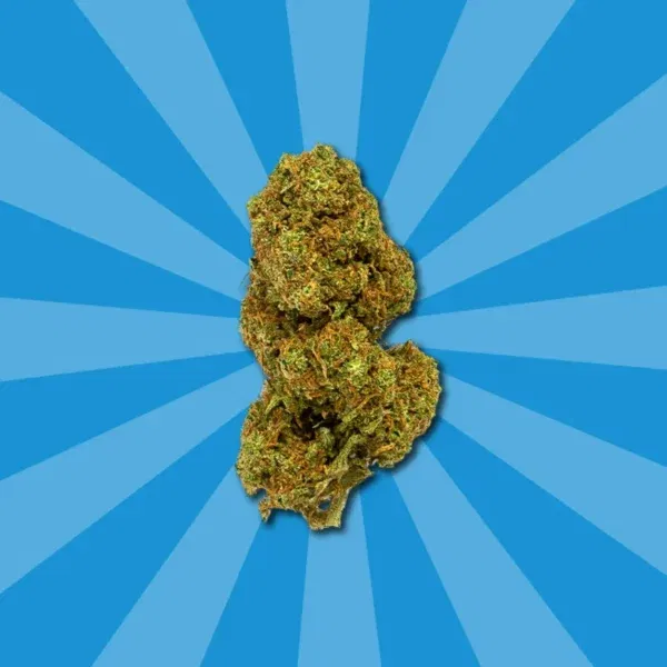 ORANGE COOKIES CBD - Image 4