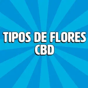 tipos de flores cbd 1